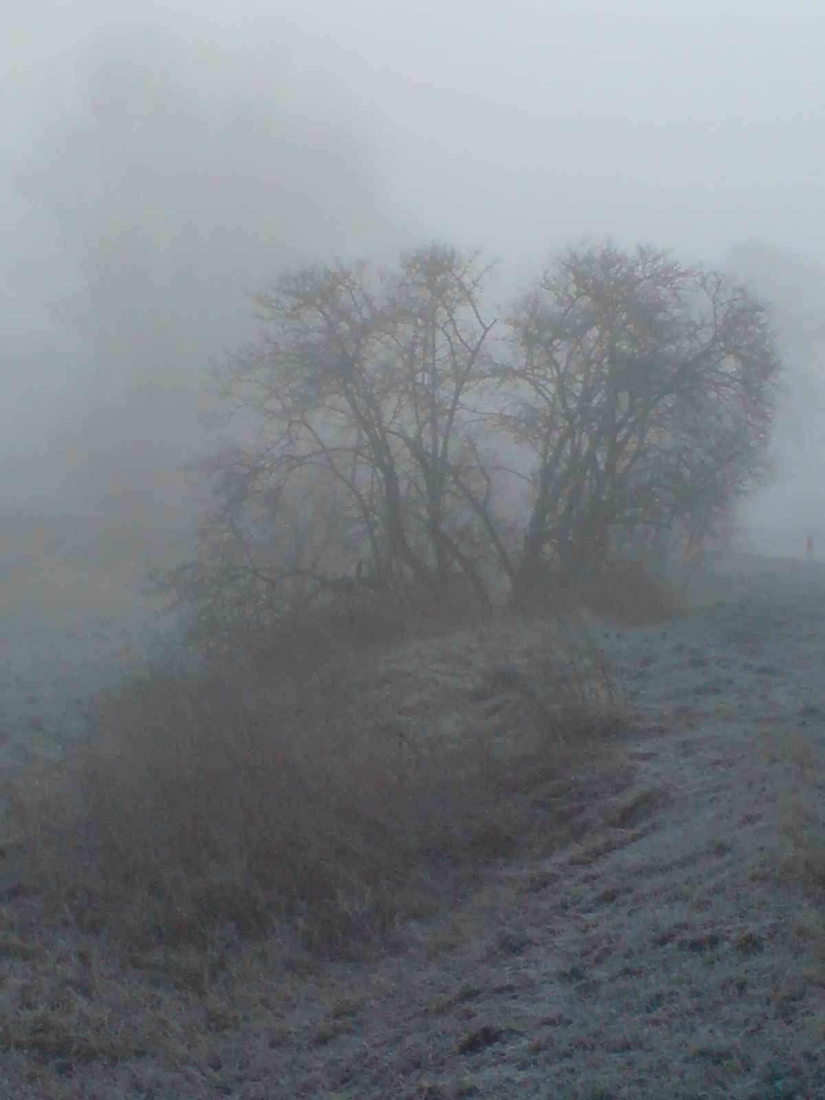 Winter in Hohenmölsen 2