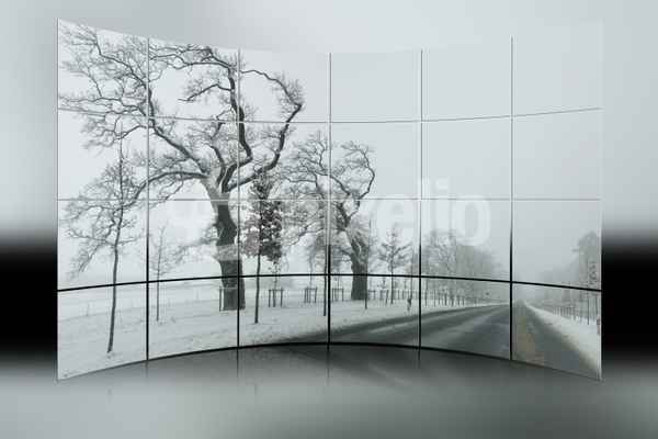 Allee im Schnee