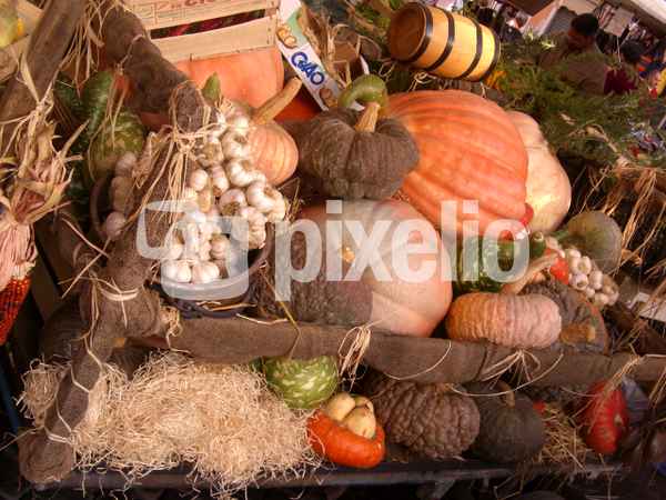 Herbstgemüse auf dem Campo dei Fiori in Rom