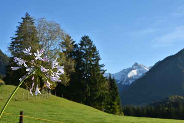 Herbst in den Bergen