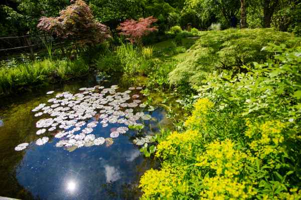 Eine Oase im privaten Gartenpark