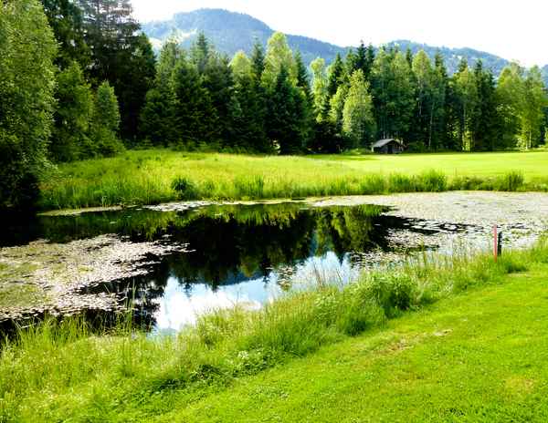 Biotop mit Teich, Hütte und Allgäubergen