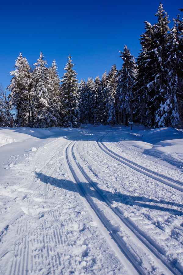 Gesunder Wintersport_hoch