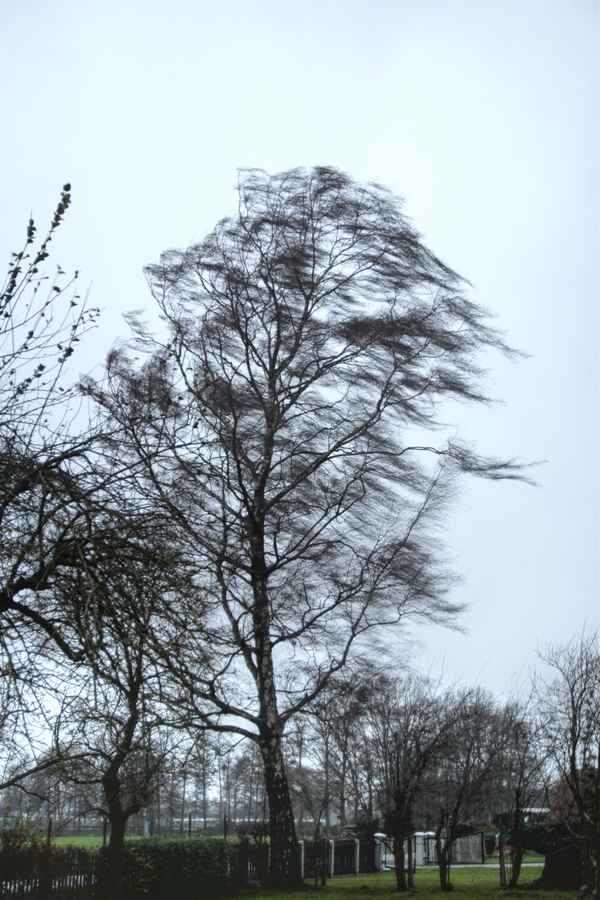 xaver lässt grüßen