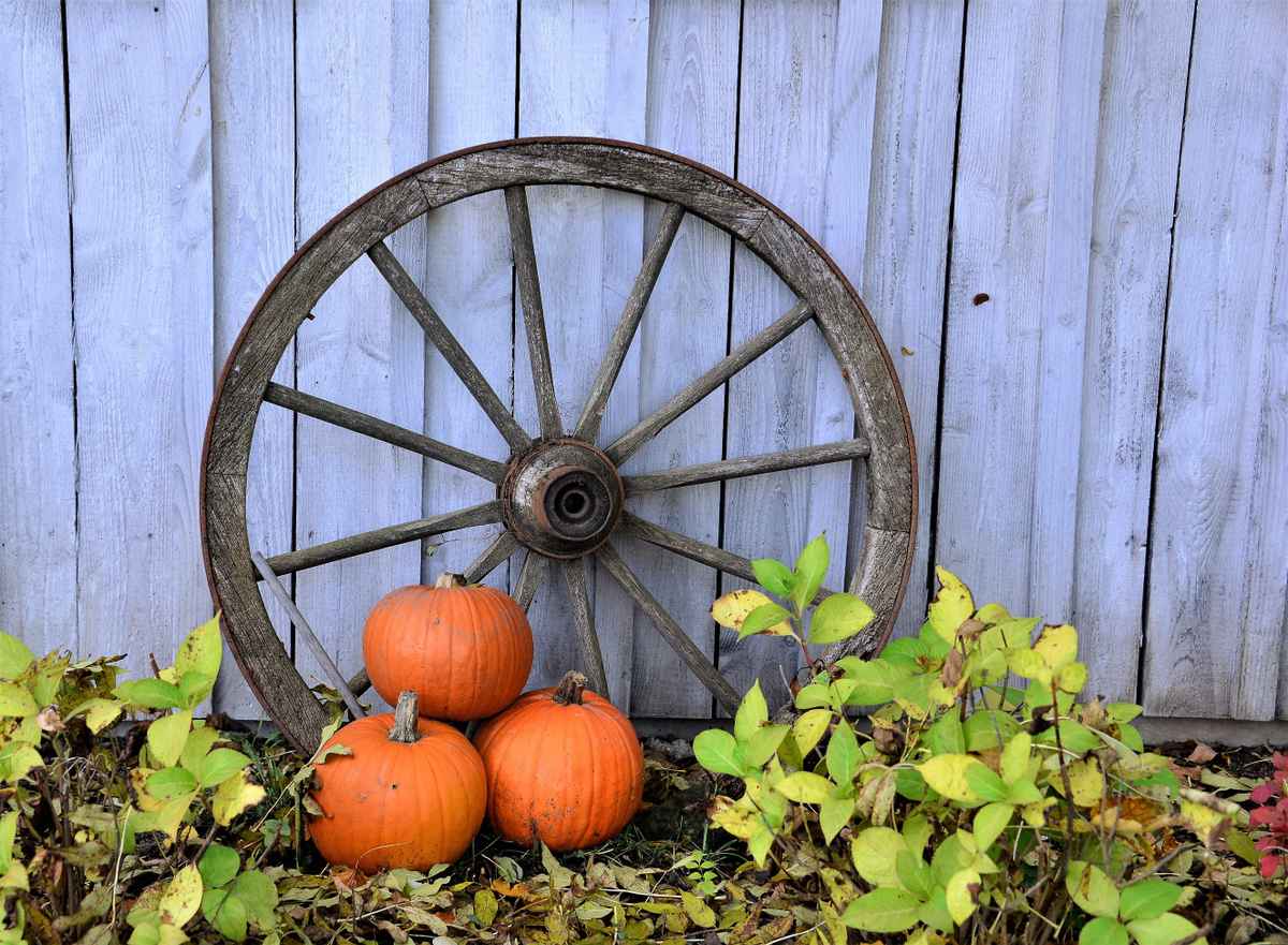 herbstliche Gartendeko