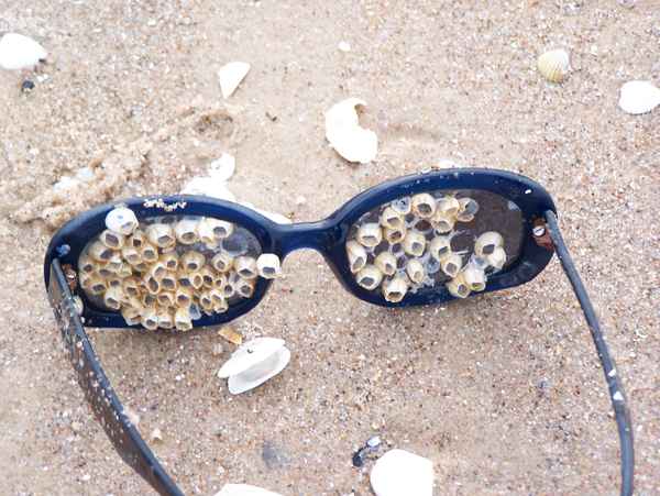 Sonnenbrille