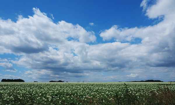 wolken ziehen