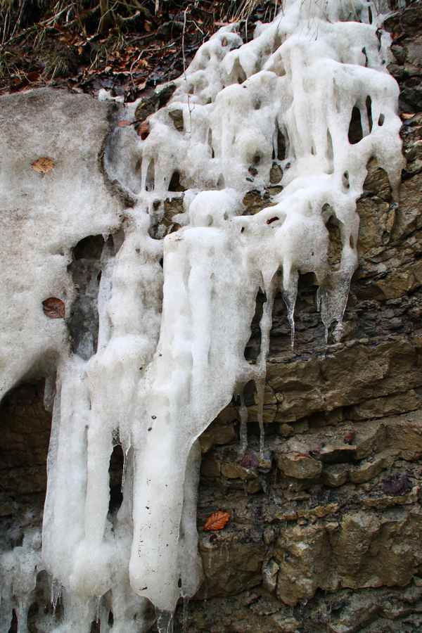 Bizarres bei Tauwetter 04