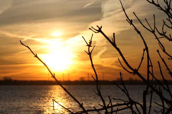 Im Abendlicht