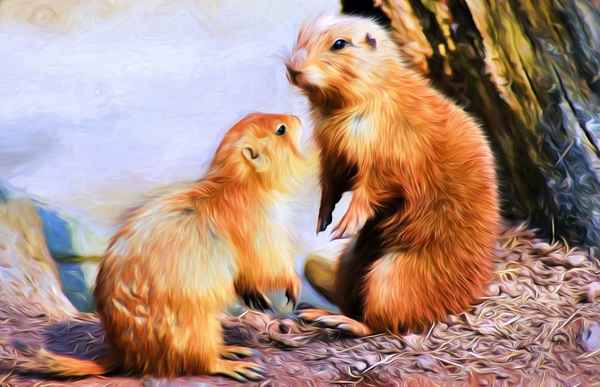 Präriehunde Filterarbeit