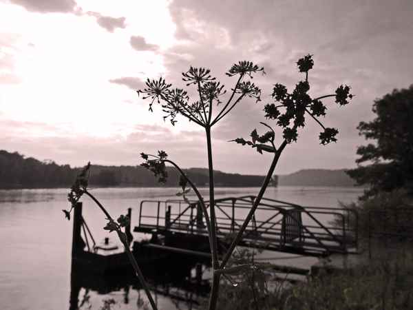 Abendstimmung am See