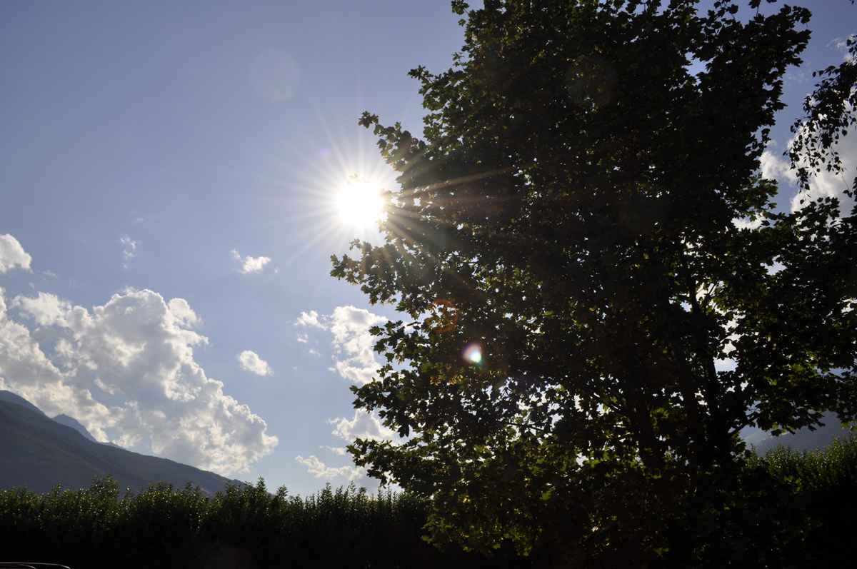 Sonnentag