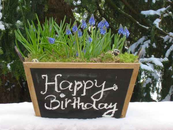 Happy Birthday