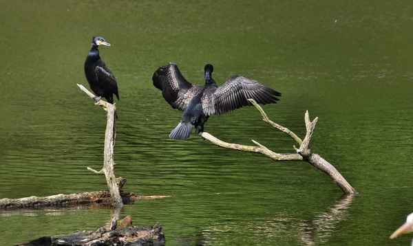 Mit herzlichen Grüßen von der Wäscheleine