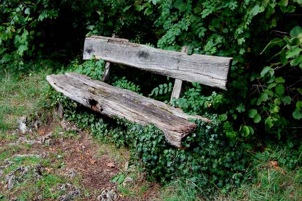 alte Sizbank im Wald