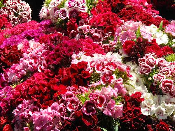 Blumige Angelegenheit