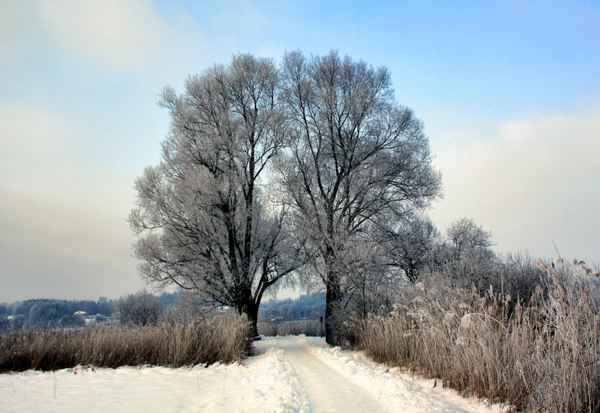 Spaziergang im Schnee