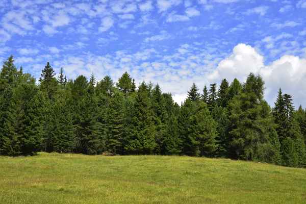 Berglandschaft, Rodenecker Alm, Südtirol