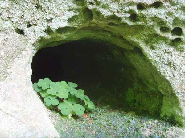 Verstecktes Glück