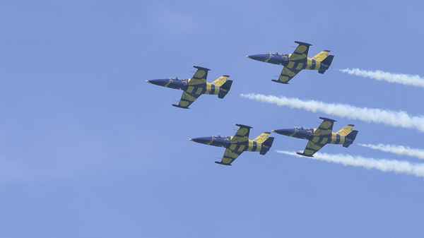 Baltic Bees
