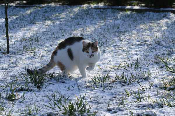 Brrr... Ist das kalt!