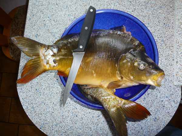 Fisch gefällig?