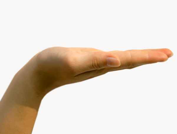 Präsentierteller - Hand für Fotomontagen