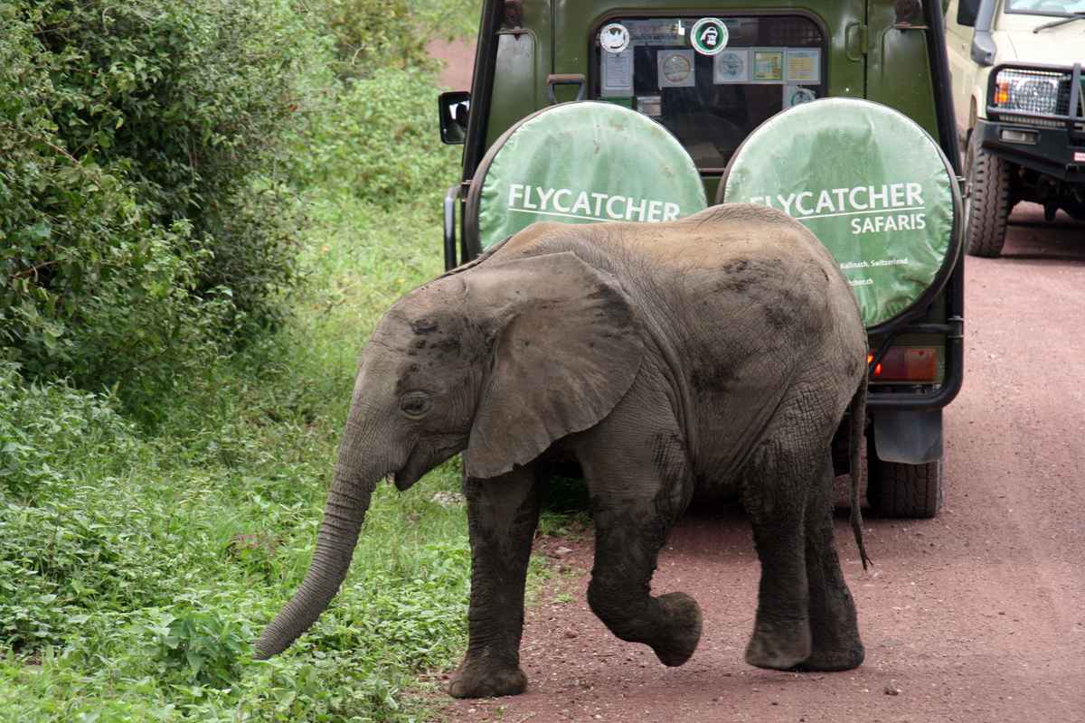Bitte Vorfahrt beachten