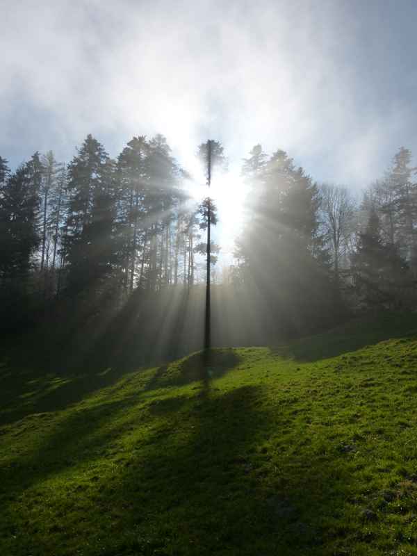 Siehe, die Welt ist nicht verloren