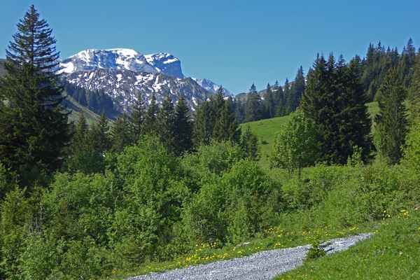Sicht bis zum Wildstrubel