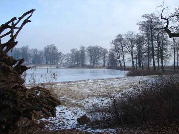 See im Winter