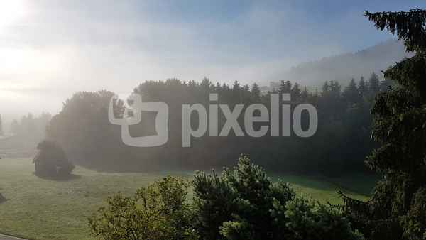 Morgenstimmung 01