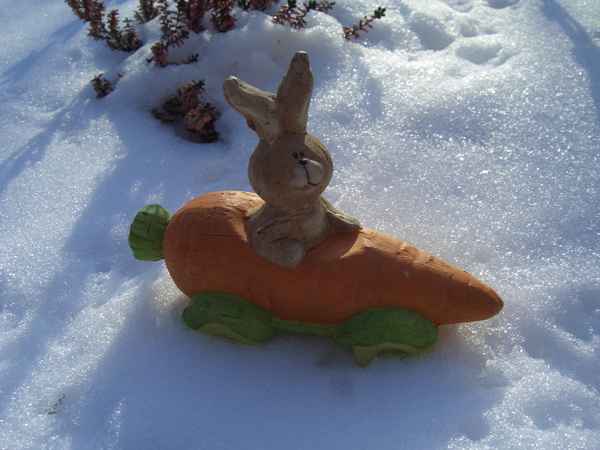 Na,du bist aber entschieden zu früh dieses Jahr...