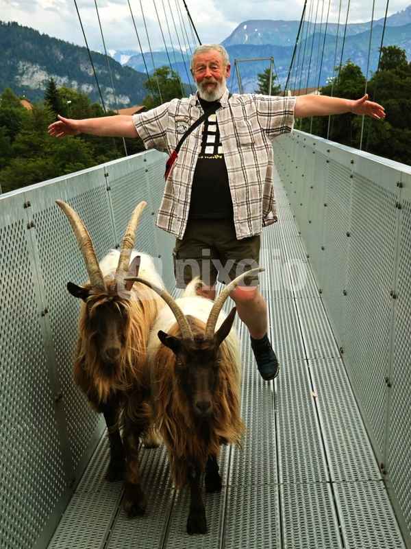 Freudige Begegnung auf der Hängebrücke