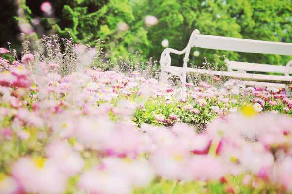 Blumige Idylle