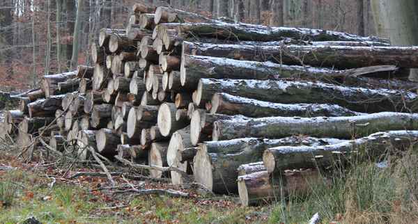 gestapelt für den winter
