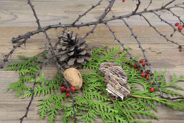 Schoko-Spitzbuben mit Karamellfüllung