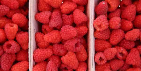Himbeeren