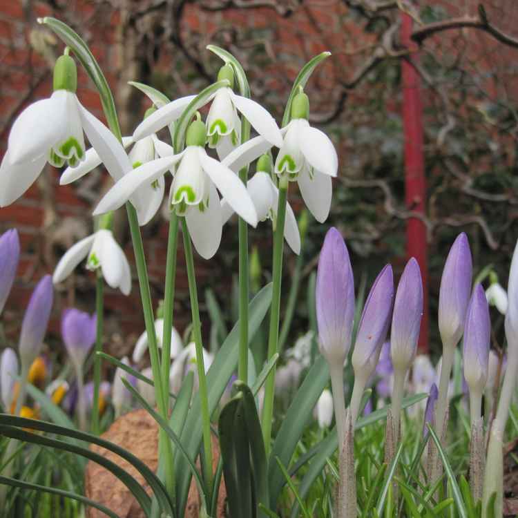 Endlich Frühling!