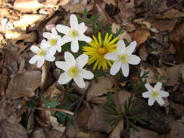 Wandern im Spessart / 3
