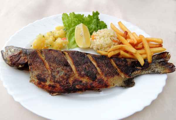 Gegrillte Forelle in Istog