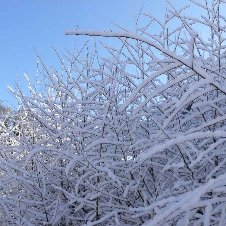 Ein kleiner Vorgeschmack auf den Winter -3-