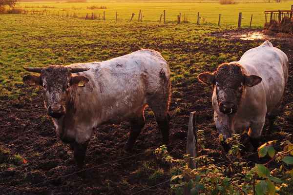 wir proben für halloween