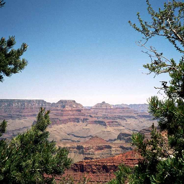 Grand Canyon - schön gerahmt