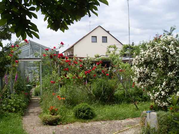 Unser Garten