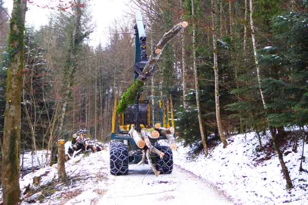 Forstarbeit im Winter
