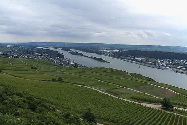 Der Rhein bei Rüdesheim