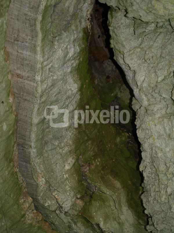 Höhle?