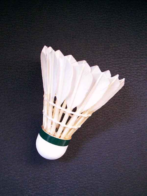 Badminton Federball