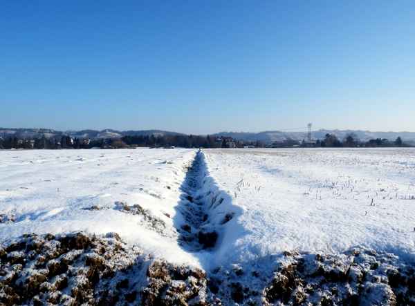 Winteracker